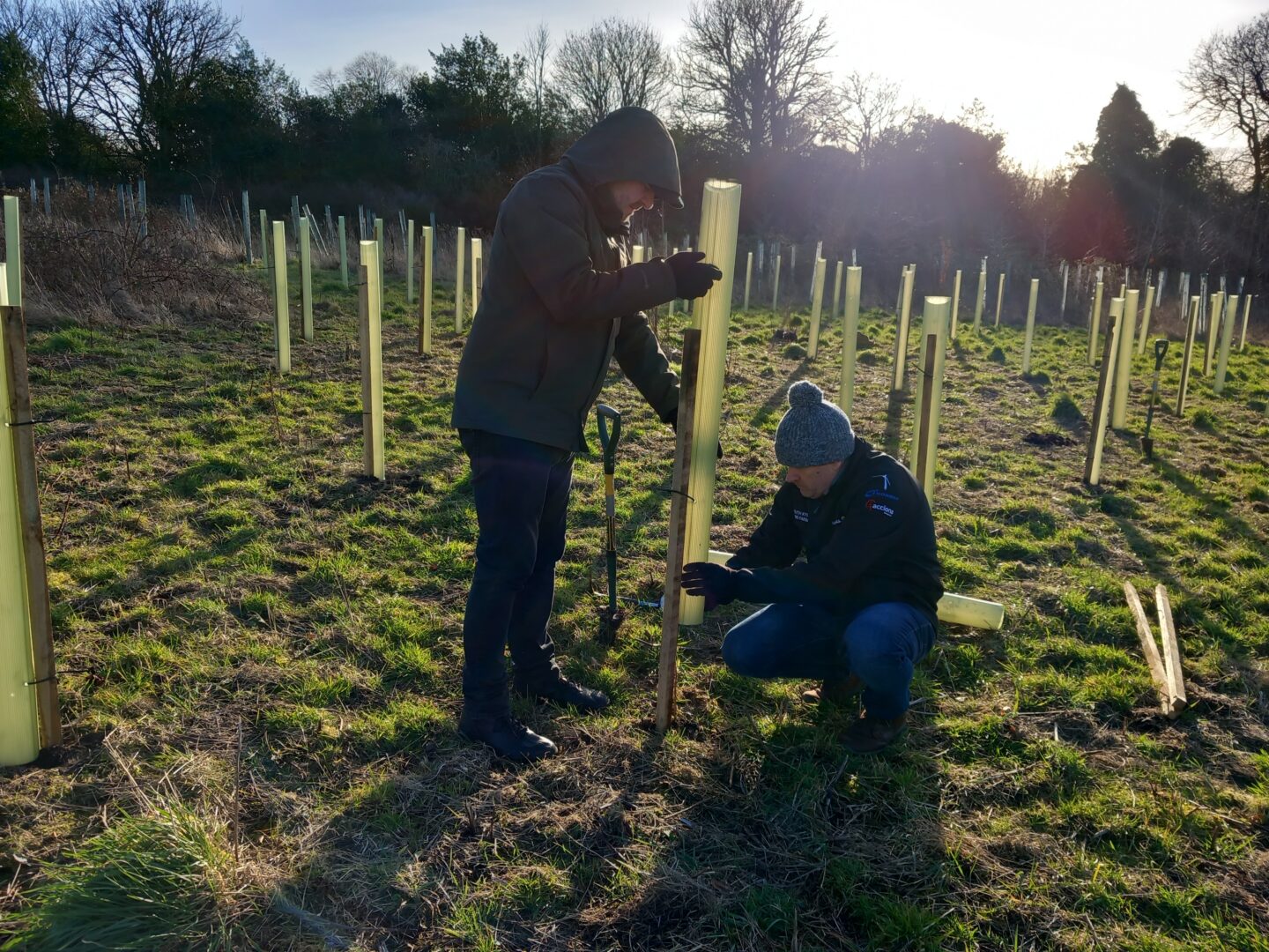 300 New Trees in Little France Park - TreeTime Edinburgh : TreeTime ...