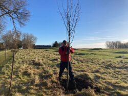 Clive Roper, from Roper Toxicology Consulting Ltd, is pictured planting a tree in Burghlee Park. He is holding the tree which is sitting in the hole. He is smiling at the camera.